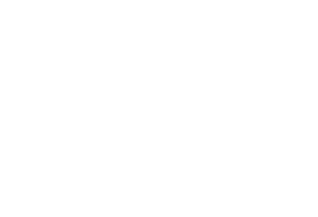 Punto Firme Logistica